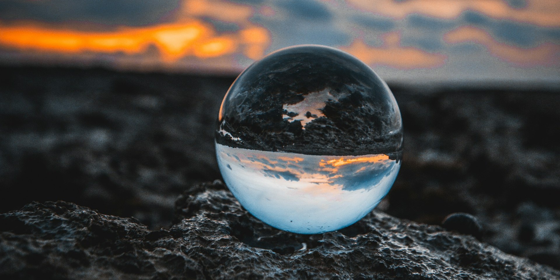 On Life and the Great Chain of Being | New Oxford Review